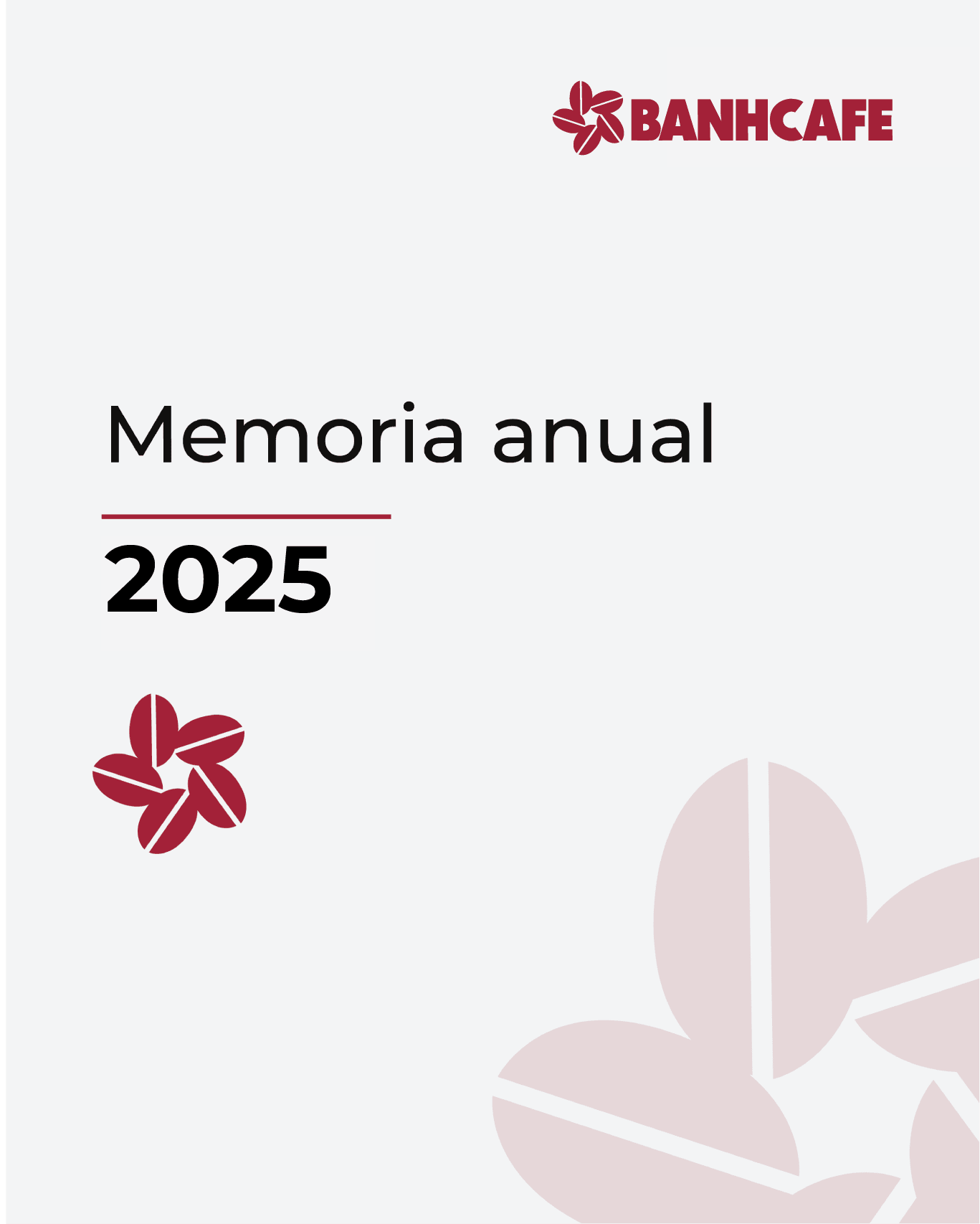 Memoria Anual