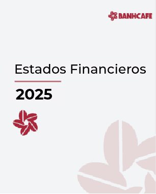 Estados Financieros